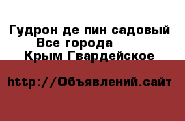 Гудрон де пин садовый - Все города  »    . Крым,Гвардейское